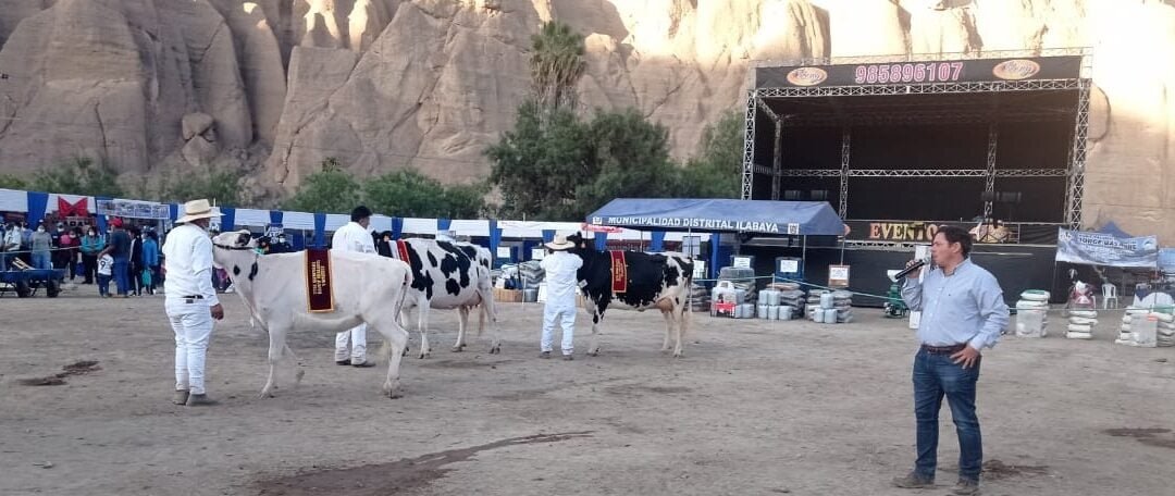 Juan Antognazza: De cabaña El Chivo a calificar Holando al desierto peruano.