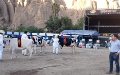 Juan Antognazza: De cabaña El Chivo a calificar Holando al desierto peruano.