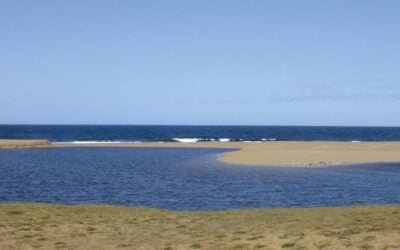 Evaluación ambiental de las lagunas costeras y de sus principales tributarios.