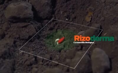 Agromil presenta el primer curasemilla biológico.