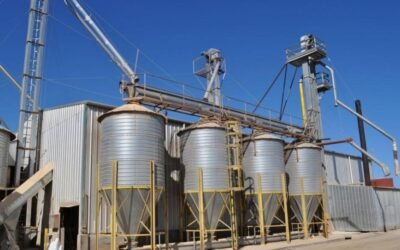 CMPP: Valores de los productos agrícolas.