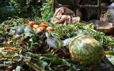 Uruguay desperdicia 1 millón de toneladas de alimentos por año.