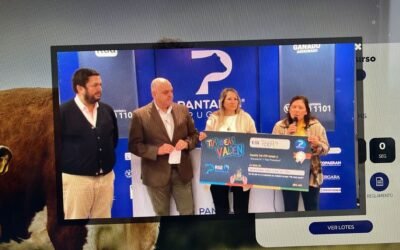 Pantalla Uruguay vendió el 99,33% de la oferta.