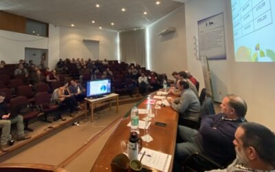 Arroz. No se acordó el precio provisorio 20211/2022.