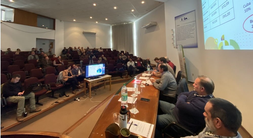 Arroz. No se acordó el precio provisorio 20211/2022.