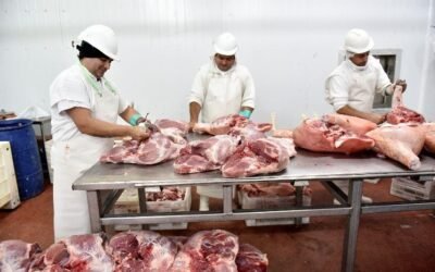 En Argentina cuestionan disposición sobre troceo de carne por salud laboral e inflación.