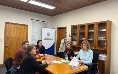 MGAP declaró la emergencia para productores de Paysandú y Salto.