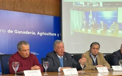 El MGAP lo anunció: En 2023 comienza el proceso de dispersión de moscas de la bichera.