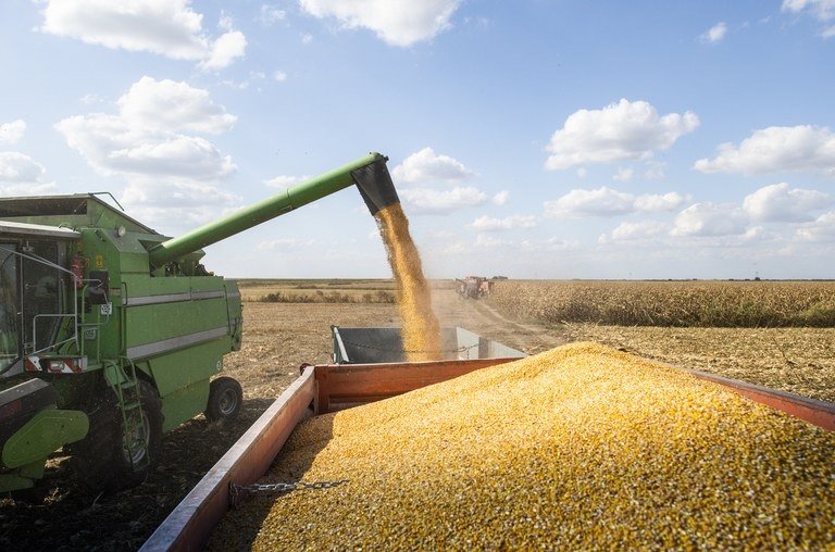 Brasil estima producción de granos en 272,5 millones de toneladas con clima favorable para los cultivos de segunda.