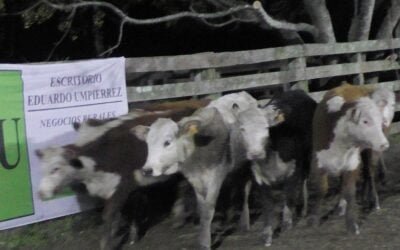 Don Jacinto mostró una pista ágil con valores del momento.