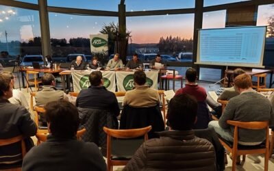 Semana de ajuste en los valores del mercado ganadero.