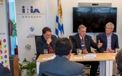Uruguay desarrollará y comercializará cítricos en la Cuenca del Mediterráneo.