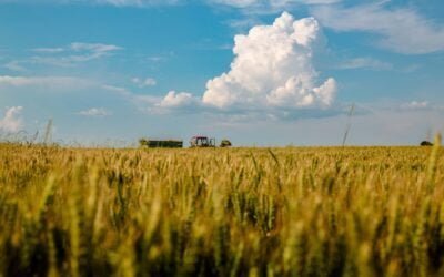 El dato del lunes: La producción mundial agrícola, incluyendo la pesca, se proyecta que aumentará un 14% hacia 2034.