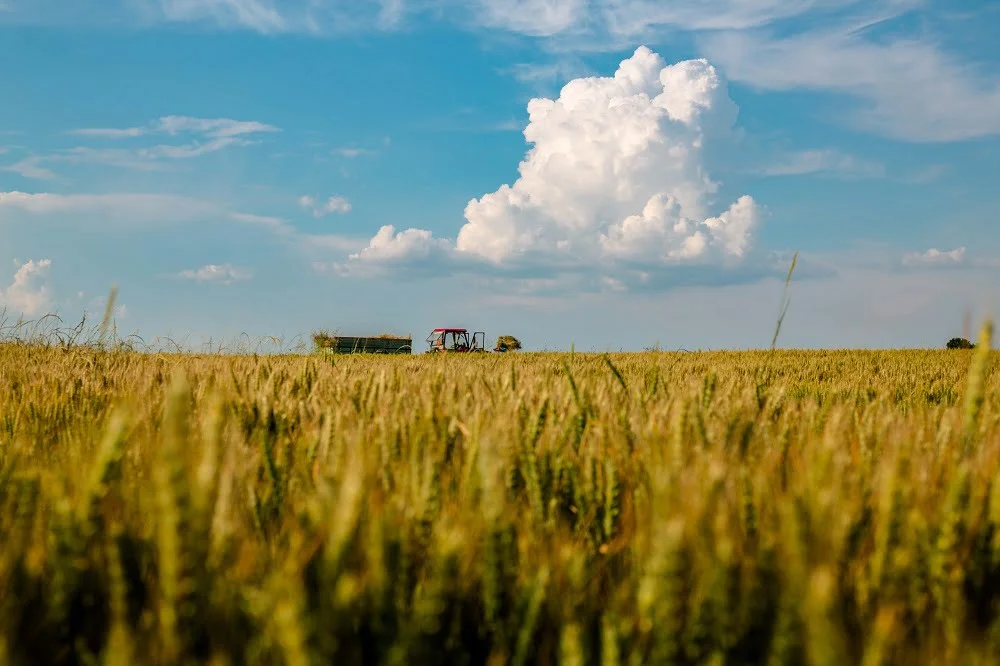 Brasil modificó normativa de seguros agrícolas, desde julio exigirá fotografías con georeferenciación.
