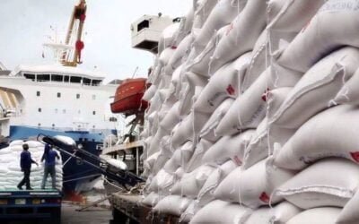 En Perú, el arroz pasó a ser fundamental en la producción agrícola.