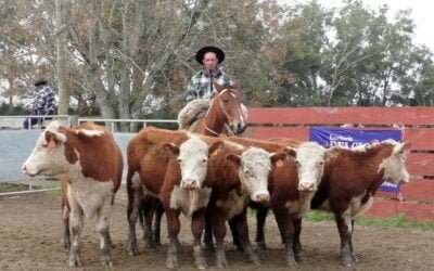 Las oportunas aguas tonificaron la pista de Cañada Bellaca.