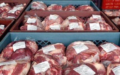 Argentina. Exportaciones de carne vacuna cerraron el primer semestre con récord en volumen y valor.