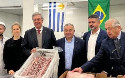 Llegó el primer embarque de carne con hueso desde Brasil.