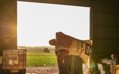 Agencia Internacional de Energía: “Subas de precios de fertilizantes se explican por los precios de la energía”.