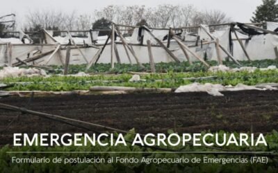 Está abierta la postulación al Fondo Agropecuario de Emergencias (FAE).