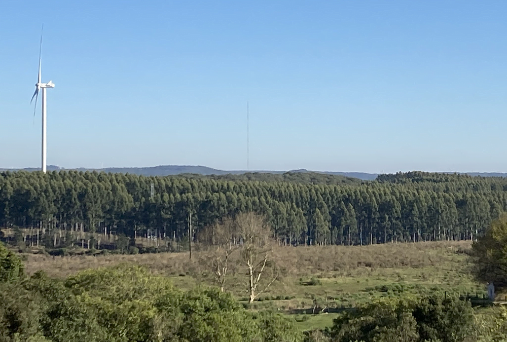 Más del 90% de los incendios son provocados por el accionar humano.