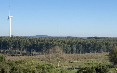 Más del 90% de los incendios son provocados por el accionar humano.
