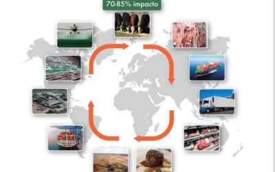 INIA presentó el primer manual de consulta sobre huella de carbono en la ganadería.
