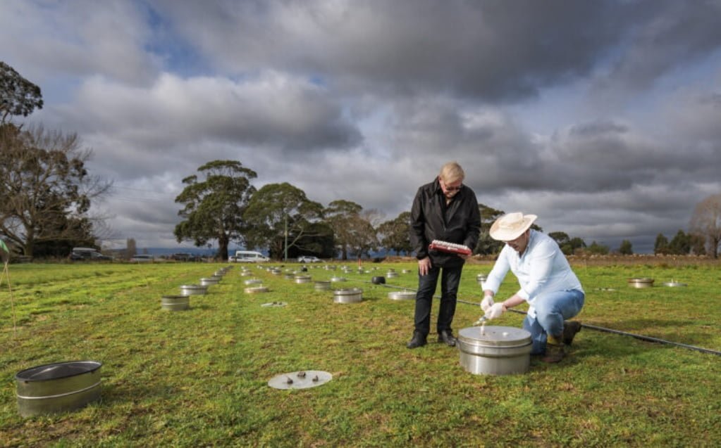 Nueva Zelanda invierte en hongos para reducir efectos agrícolas adversos.