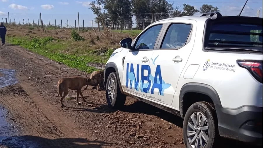 La peligrosidad de un perro no se fundamenta exclusivamente en la raza.