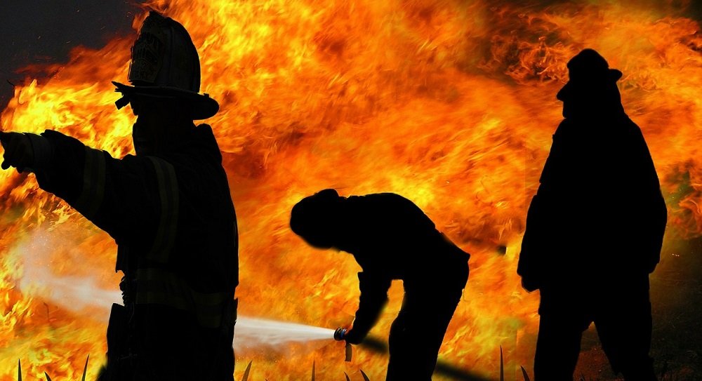 Científicos expresan preocupación por pastos invasores que favorecen el fuego con el cual se retroalimentan.