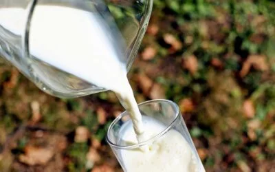 Consumidores de leche prefieren productos originales y no copias vegetales.