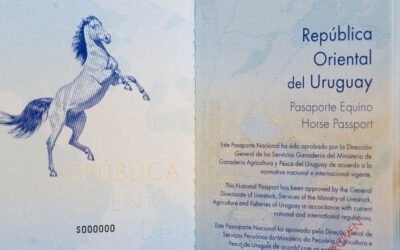 Uruguay instrumentará pasaporte único para movilidad de caballos.
