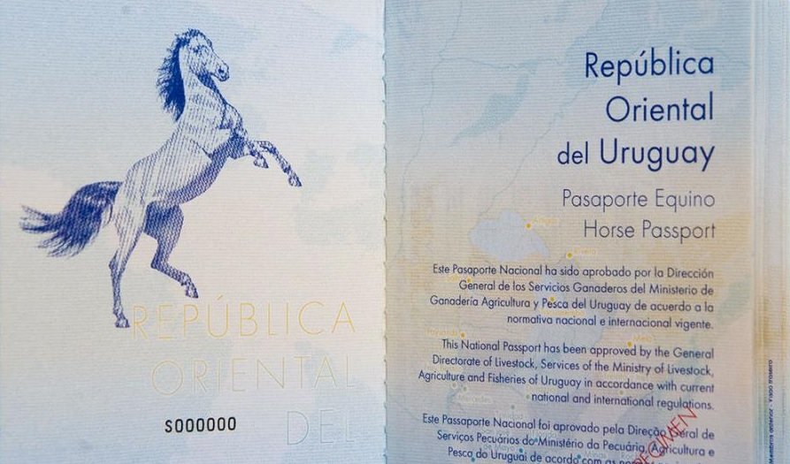 Uruguay instrumentará pasaporte único para movilidad de caballos.