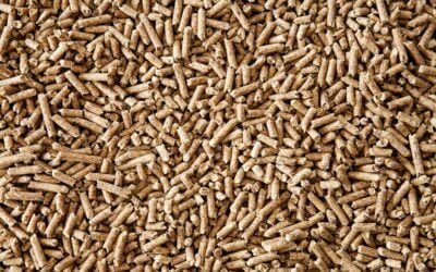 Europa necesitará un nuevo proveedor de pellets.