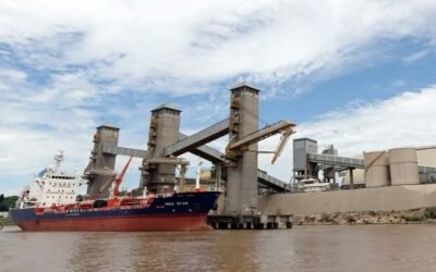 Bolsa de Rosario: La liquidación de divisas del agro alcanza un récord histórico en el primer semestre del año.