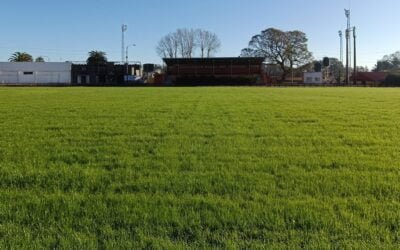 La próxima Expo Prado “va a intentar recuperar el brillo” que no pudo tener en las últimas dos ediciones.