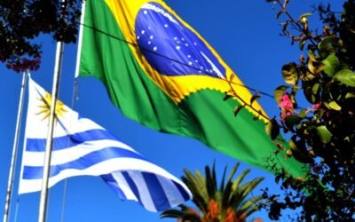 Gobierno de Brasil prepara medida tributaria contra importaciones de leche del Mercosur.