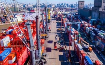 Exportaciones agrícolas argentina logran el total más alto de la historia.