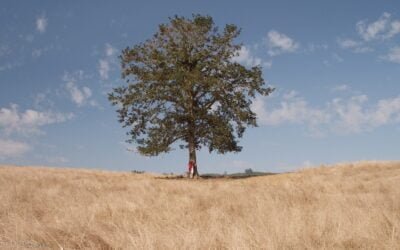ANDE extendió vigencia de créditos a productores afectados por sequía.