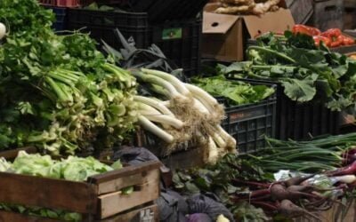 Mitos sobre los alimentos ecológicos. No hay que creer todo lo que dicen.