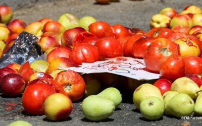 Hoy se celebra el Día Internacional contra la pérdida y el desperdicio de alimentos.
