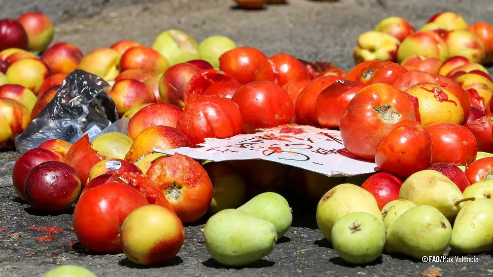 Tinder de frutas: empresaria de Brasil crea una plataforma para evitar el desperdicio.