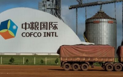 Argentina. Cargill, Cofco y Bunge lideran las ventas al exterior en la campaña 2021/22.