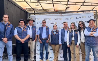 Federico Rodríguez sobre Lote 21: “La colocación fue muy buena”.