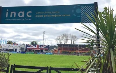 Expo Prado 2024: más de 2.000 animales y la primera Muestra de Aperos.