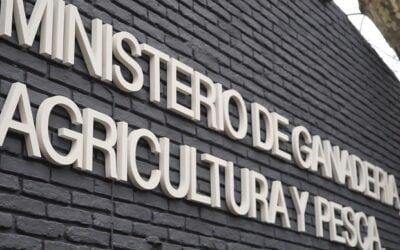 Convocatoria del MGAP para presentar anteproyectos de la cadena frutihortícola y apícola.