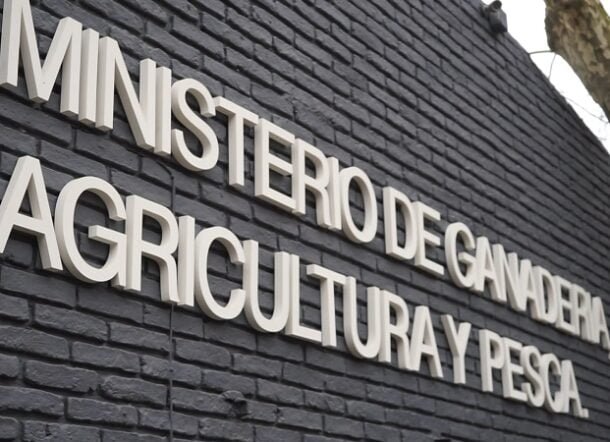 Convocatoria del MGAP para presentar anteproyectos de la cadena frutihortícola y apícola.