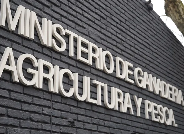 Directora de la Granja desmintió que se vayan a realizar modificaciones a la normativa sobre faena predial.