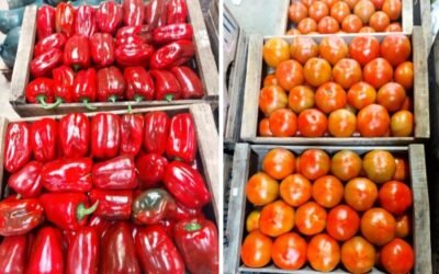 Suben el morrón y el tomate en el mercado local.
