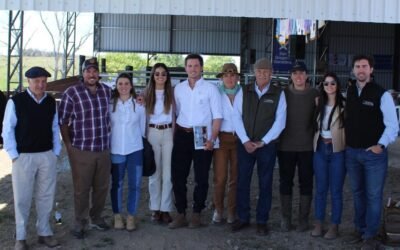 Toro Angus de San Gregorio Ganadea se vendió a US$ 12.000.